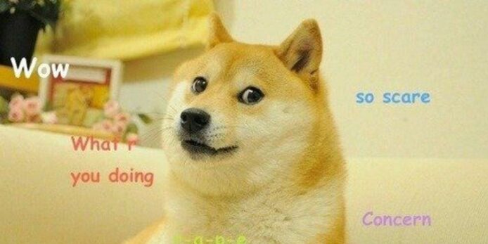 全球知名 Doge 柴犬逝世　Kabosu 可愛形象曾被用作 Dogecoin 加密貨幣標誌