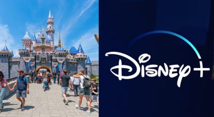 美迪士尼樂園用餐過敏致死被控告   代表律師：死者丈夫有訂閱 Disney+ 應撤銷官司