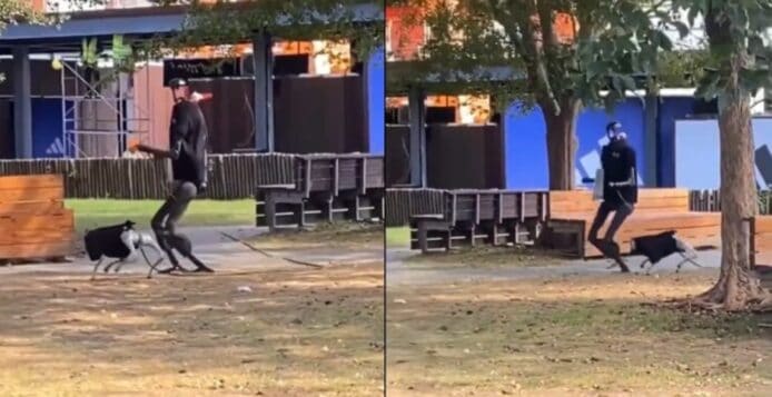 機械人放機械狗