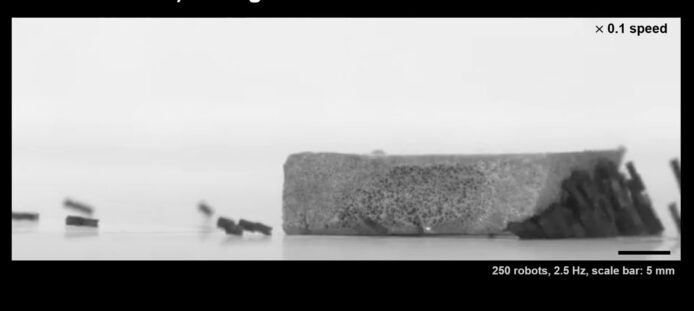 革命性微型機械人群體展現驚人能力　或可應用醫療科技潛力無限