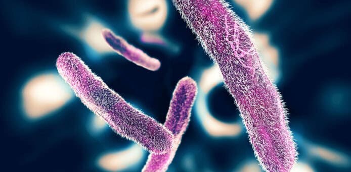 專家警告：抗藥性超級肚瀉菌正擴散