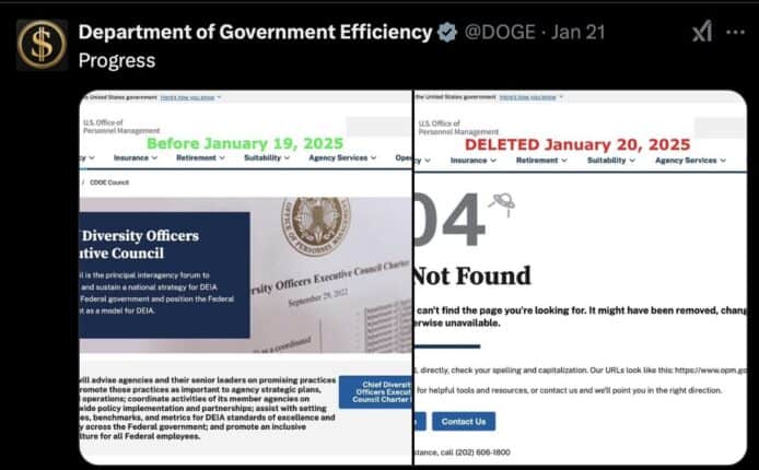 Elon Musk 上任 DOGE 即停止多元政策網站 網民稱「DEI 終結日」