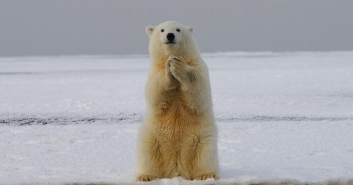 科學家：全球暖化不可逆轉　巴黎協定控制暖化 2°C 不可能