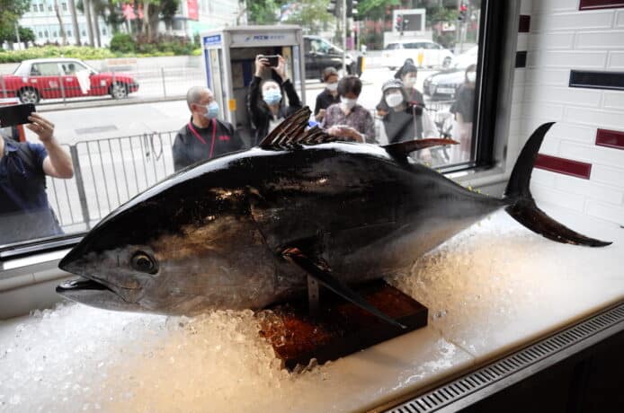 富士通聯手開發 AI 裝置選頂級吞拿魚     以低頻超聲波檢測油脂含量