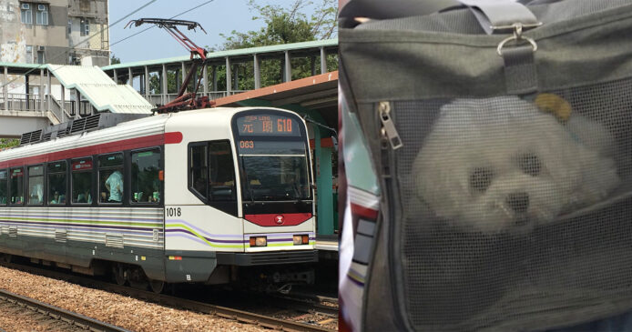 港鐵輕鐵貓狗同行計劃 9 月正式落實  逾千名乘客試行期間踴躍參與