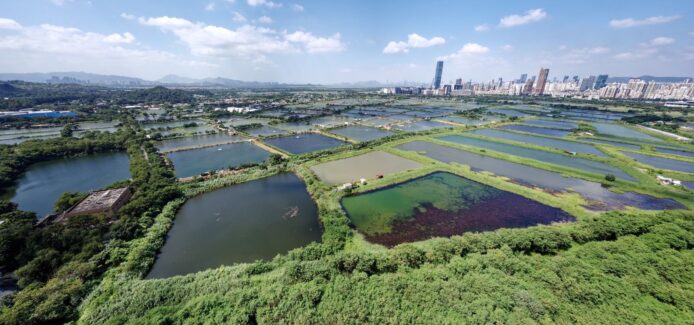 新田科技城發現明朝古墓群　將進一步作評估　政府：相信不影響收地和發展