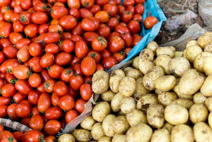 科學家發現薯仔與番茄同源　900 萬年前「基因聯姻」成全球第三大主糧
