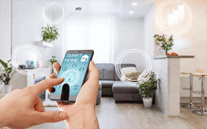 調查：植物或令 WiFi 速度減慢 40%    專家建議調整路由器擺放位置