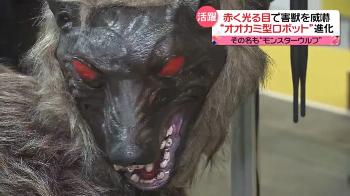 野獸驅趕機械人 Monster Wolf    「戰狼」部署住宅區應對日本熊害