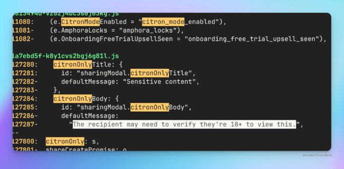 ChatGPT 成人模式代號曝光　程式碼出現「Citron」代號和 18+ 警告