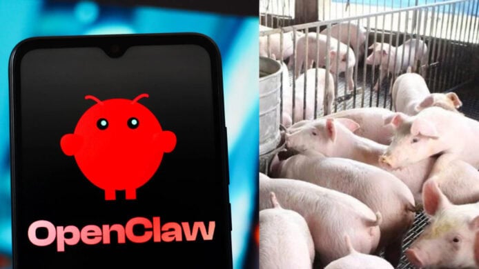 有中國企業啟動萬人「養龍蝦」 冀 AI 技術提升養豬業務