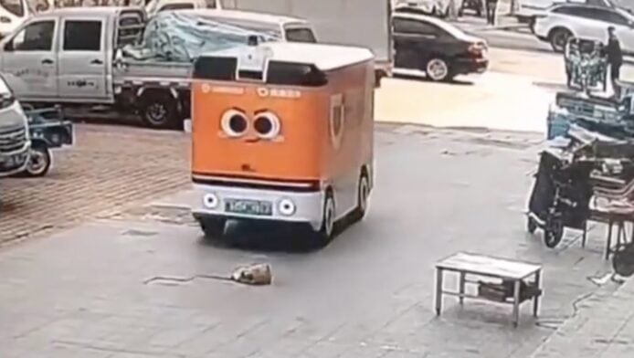 中國菜鳥無人車輾斃小狗　安全技術缺陷引網民憂慮